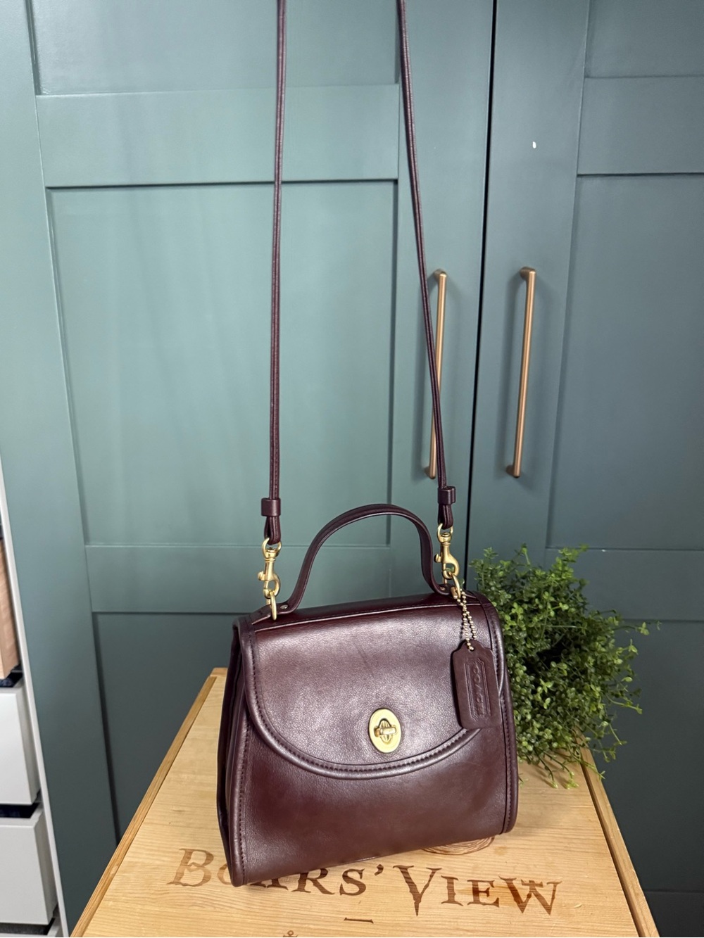 Vintage COACH Regina 9983 in Mahogany  Brown Gloved Tanned Leather Crossbody A++ - Picture 13 of 14